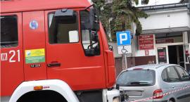 zdjęcie nr 8