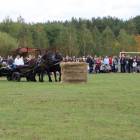 zdjęcie nr 118
