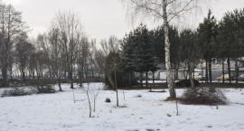 zdjęcie nr 14