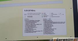 zdjęcie nr 37