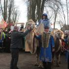 zdjęcie nr 148