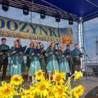 zdjęcie nr 15