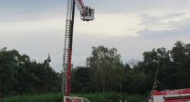 zdjęcie nr 114