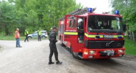 Fotka nr 5 z 23