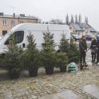zdjęcie nr 33