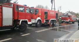 Fotka nr 5 z 64