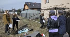 zdjęcie nr 19