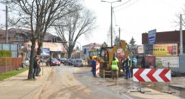 zdjęcie nr 12