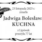 zdjęcie nr 7