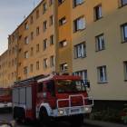 Fotka nr 1 z 16