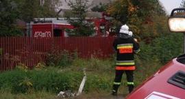 zdjęcie nr 13