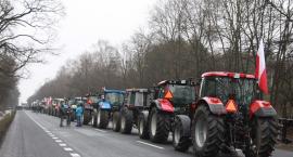 zdjęcie nr 35