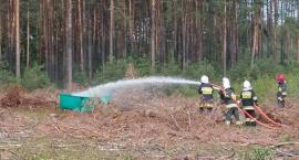 zdjęcie nr 36