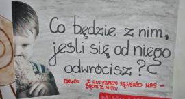 zdjęcie nr 14