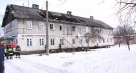 Fotka nr 2 z 13