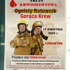 zdjęcie nr 13