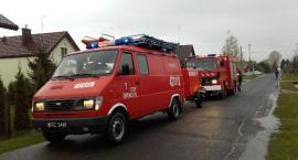 Fotka nr 2 z 12