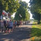 zdjęcie nr 13