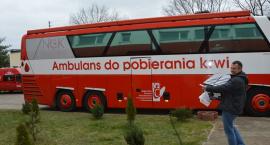 Fotka nr 5 z 8