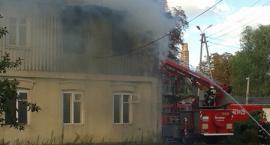 zdjęcie nr 13