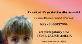 Fotka nr 5 z 19