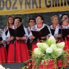 zdjęcie nr 197