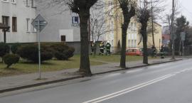 Fotka nr 2 z 4