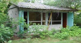 zdjęcie nr 31