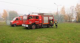 zdjęcie nr 9