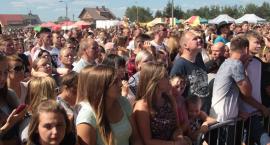 zdjęcie nr 14