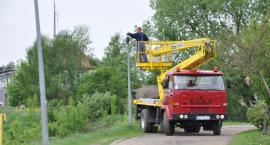 Fotka nr 2 z 4