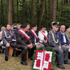 zdjęcie nr 16