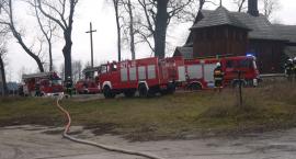 Fotka nr 5 z 17