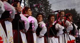 zdjęcie nr 142
