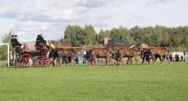 zdjęcie nr 87