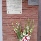 zdjęcie nr 13