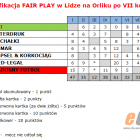 zdjęcie nr 11