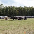 zdjęcie nr 86