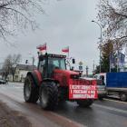 zdjęcie nr 10