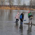 zdjęcie nr 55