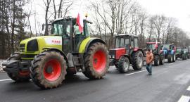 zdjęcie nr 28