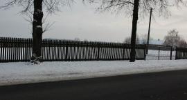 zdjęcie nr 9