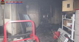 Fotka nr 2 z 10