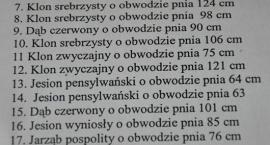zdjęcie nr 11