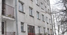 zdjęcie nr 8