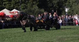 zdjęcie nr 64