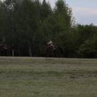 zdjęcie nr 205