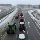 zdjęcie nr 30