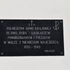 zdjęcie nr 7