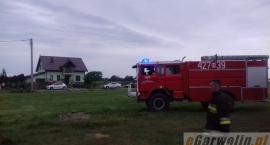 zdjęcie nr 16